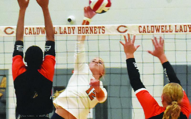 CALDWELL’S ABBY VOGLER hits the ball between two Smithville blockers during the Lady Hornets’ win over the Lady Tigers on Friday. Tribune photo by Roy Sanders