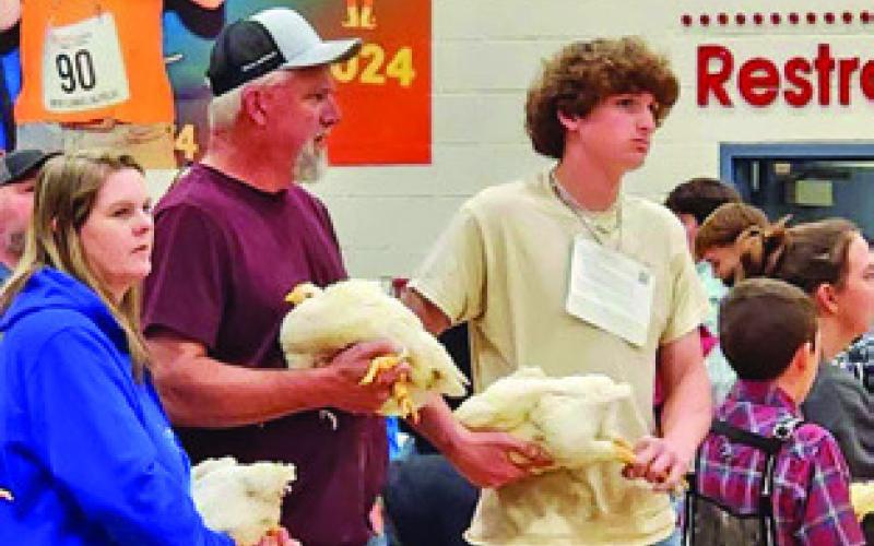 BRAYDEN MACIK OF SNOOK FFA PARTICIPATED IN the Market Broiler show at the Houston Livestock Show and Rodeo. Photo courtesy of Snook FFA