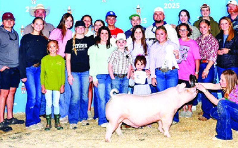 BURLESON COUNTY 4-H MEMBER Emily Koch received third place with her Chester Barrow at the Houston Livestock Show and Rodeo. Photo courtesy of Megan Rogers