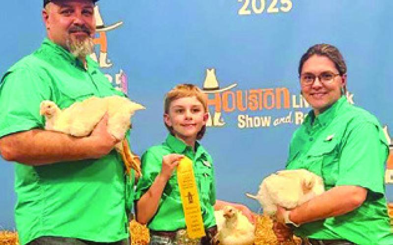 JENTRY THIGPEN, SNOOK FFA MEMBER, was 54th place with his pullets, making the auction, at the Houston Livestock Show and Rodeo. Photo courtesy of Snook FFA
