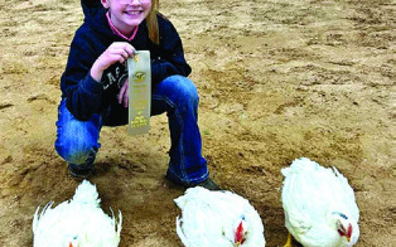 JAIDA HEATER, BURLESON COUNTY 4-Her, is pictured with her Cockerels. Heater took 10th at Rodeo Austin. Photo courtesy of Megan Rogers
