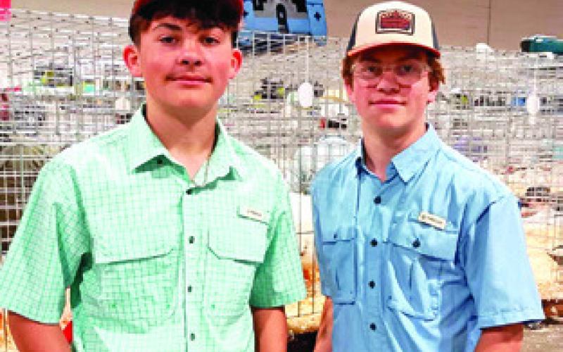 BRAYDEN AND CLAYTON FRALEY OF Caldwell FFA exhibited broilers at the Houston Livestock Show and Rodeo. Brayden won 31st place with his pullets and made the sale. Photo courtesy of Caldwell FFA