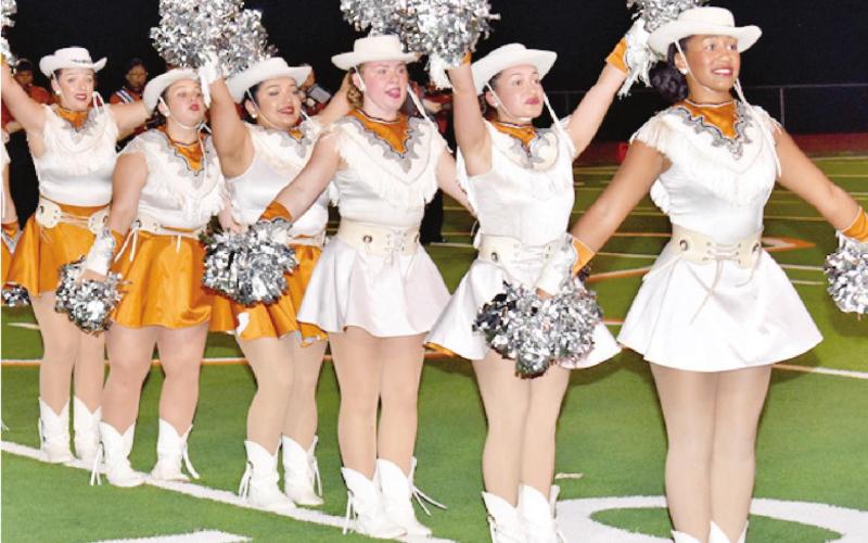 THE CALDWELL HIGH School Honeybees