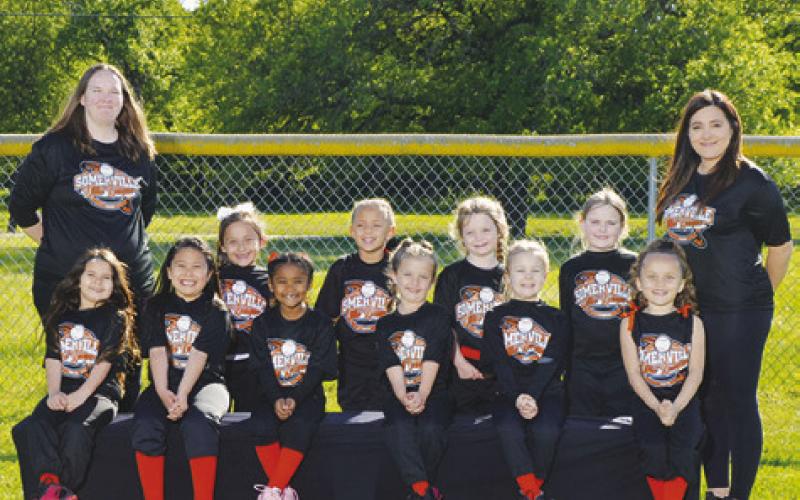 Somerville Little League Softball Teams