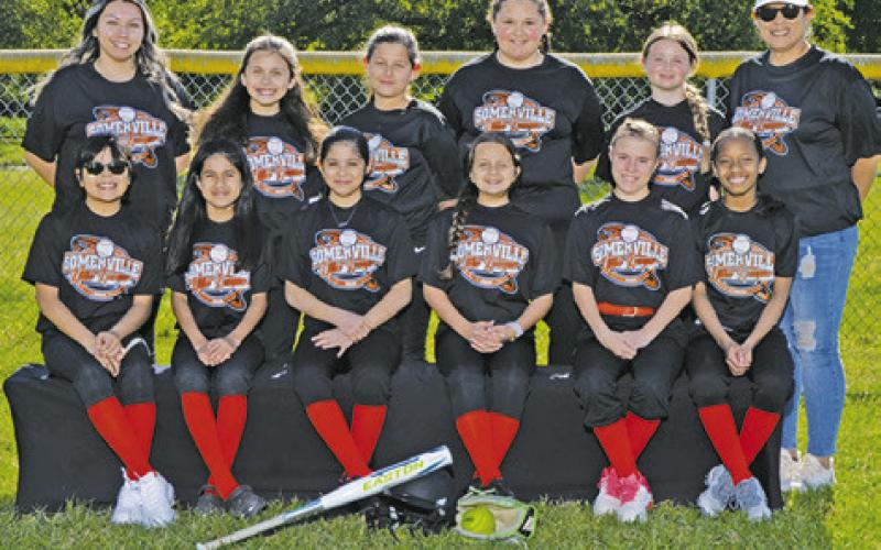 Somerville Little League Softball Teams