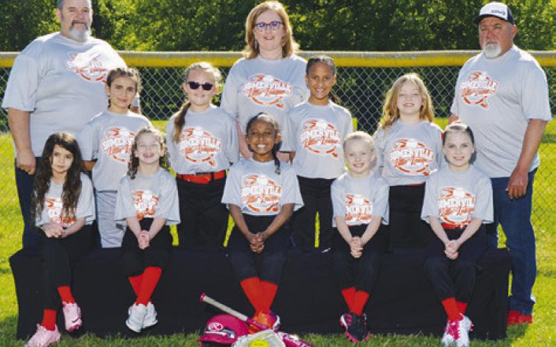 Somerville Little League Softball Teams