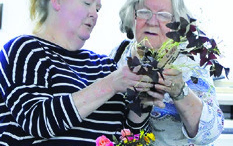 THESE LADIES are checking out plants at last Saturday’s “Spring Fling Crafts and Plant Sale” held by the Lyons Extension Club.