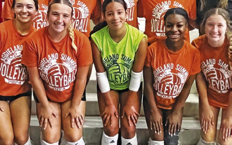 Lady Hornets finish 4th in summer league play