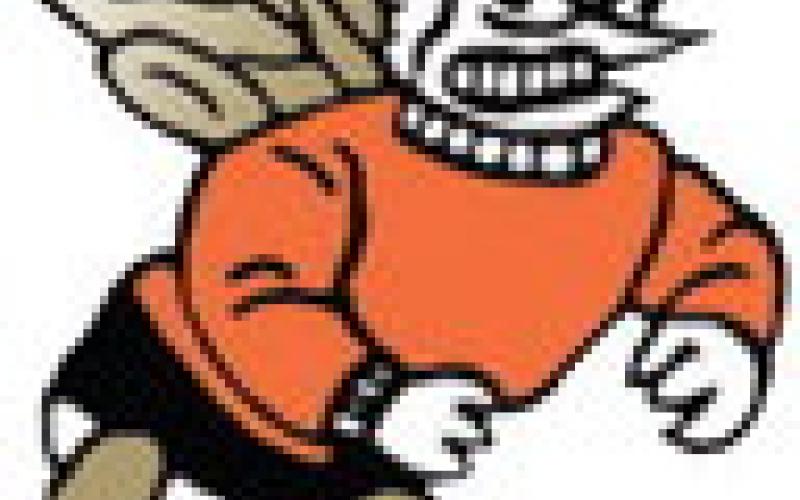 Alt Text for Image