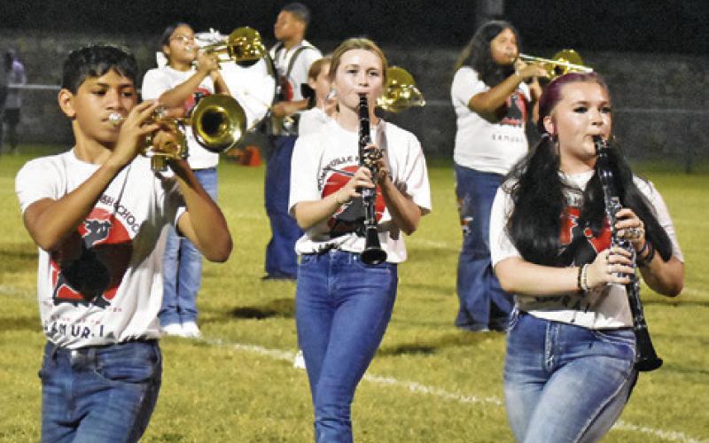 CALDWELL HORNET BAND members perform at halftime of the Robinson game. Tribune photo by Denise Squier