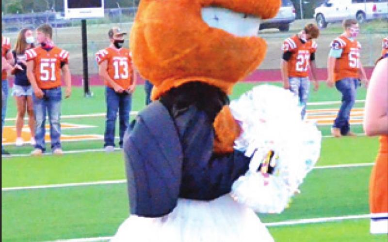 MEET THE CALDWELL HORNETS!