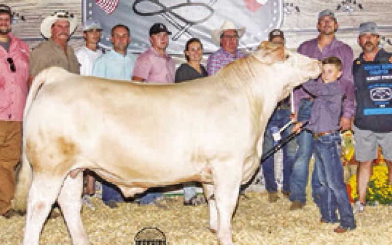 RIGGIN BALDWIN EXHIBITED the Reserve Grand Champion market steer at this year’s Burleson County Fair. He is pictured with Mariah Sandner, John Grange, Tyler Sandner, Chandler Homeyer, Charley Eubanks, Dalton Cole, Ryan Smejkal, Laramie Pieper, Crystal Baldwin, Chad Coburn, Joe Baldwin, Jeff Baldwin, Matt Hart, 2023 Burleson County Fair Queen Kate Hill, Little Miss Sawyer Sandner and John and Marcy McCain.
