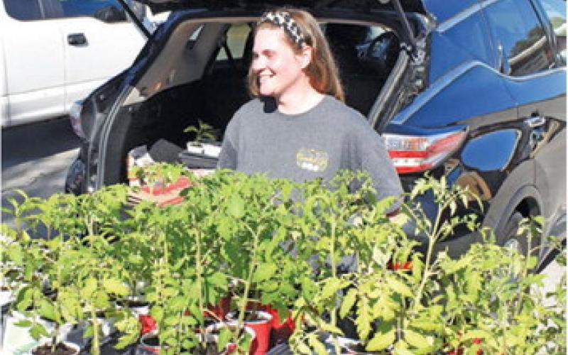 NICOLE ANZUALDA OF Little Creek Poultry &amp;amp; More displays these plants on Saturday morning at the Farmers Market in Caldwell.