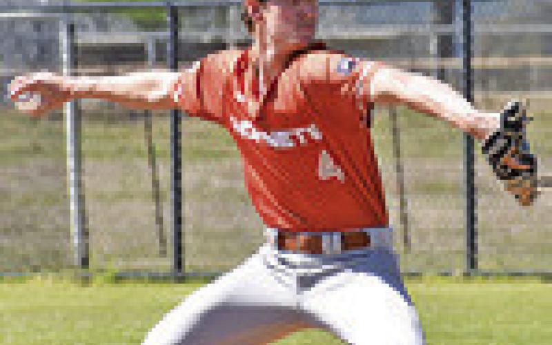Hornet baseball