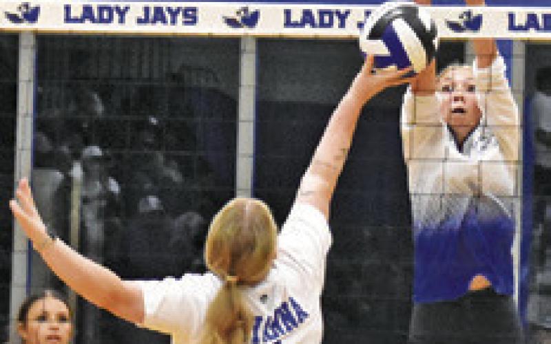 CURRENT LADY JAYS showed no mercy at the net for the Snook alumni during the alumni game last Friday. Tribune photo by Roy Sanders