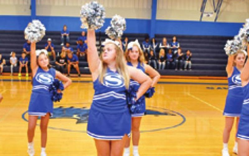 MEET THE BLUEJAYS
