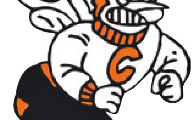 Lady Hornets win District golf title