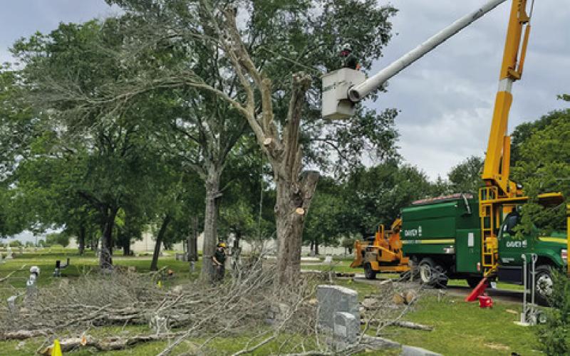 A CREW FROM Davey Tree Company works recently at the Caldwell Masonic Cemetery.