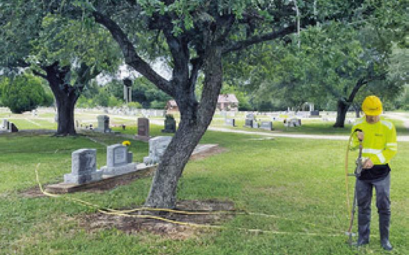 AN EMPLOYEE OF the Davey Tree Company works at the Caldwell Masonic Cemetery.