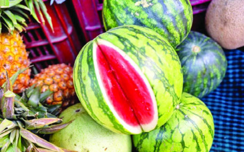 JUAN ANCISO, PH.D., a Texas A&amp;amp;M AgriLife Extension Service vegetable specialist, Weslaco, offers three main tips to make it easier to pick a good, ripe watermelon this summer. Photo courtesy of Sam Craft/Texas A&amp;amp;M AgriLife