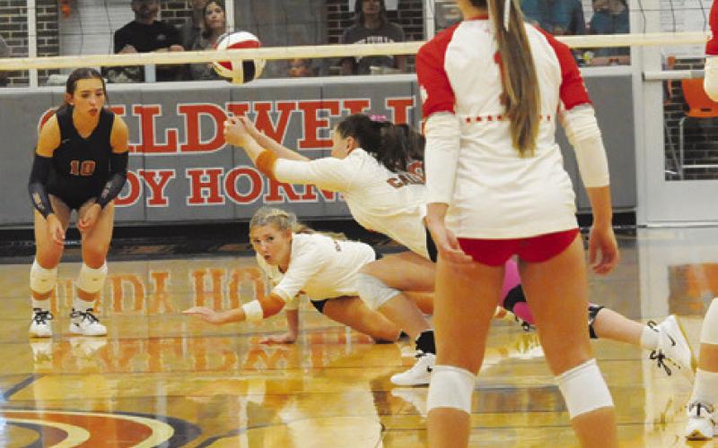 CALDWELL PLAYERS DIVE to try to save the ball after a Bellville hit during the Lady Hornets-Brahmanettes match on Friday. Tribune photo by Denise Squier