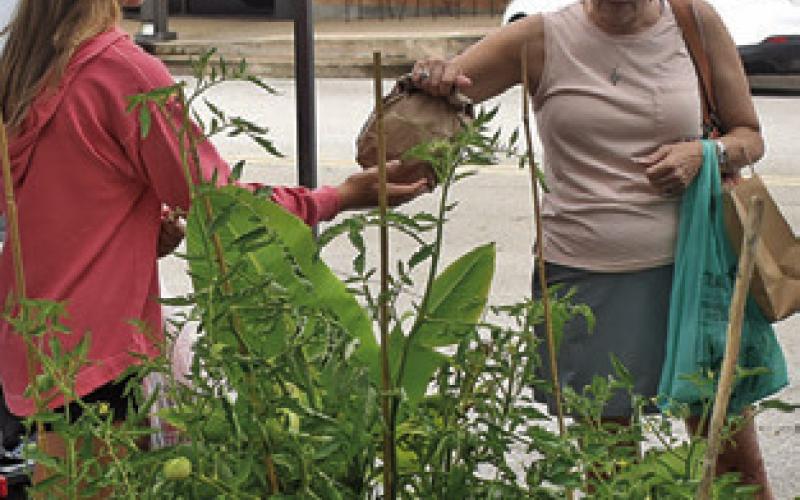 DOUBLE ROSE LLC of Caldwell was one of the vendors participating in the Saturday, June 6, Farmers Market in Caldwell.