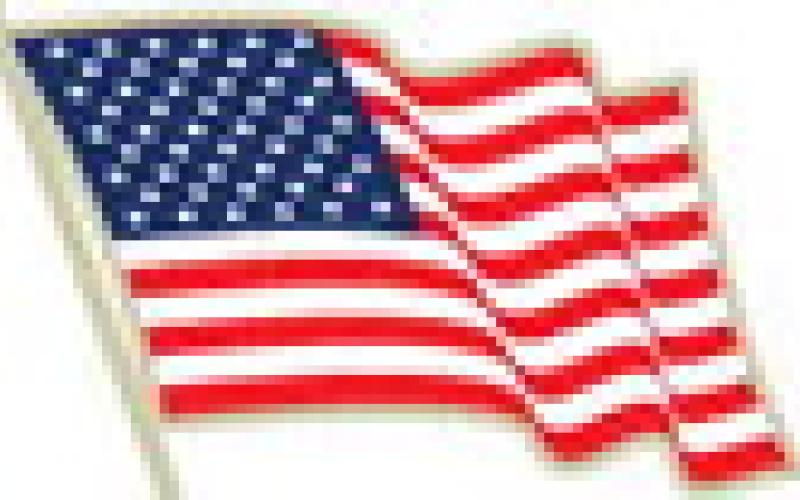 Alt Text for Image