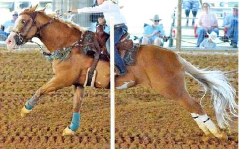 THIS CONTESTANT IS COMPETING in the poles event during the Burleson County Saddle Club’s Youth Rodeo at the Burleson County Fairgrounds on Friday, July 19. -- Tribune photo by Denise Hornaday