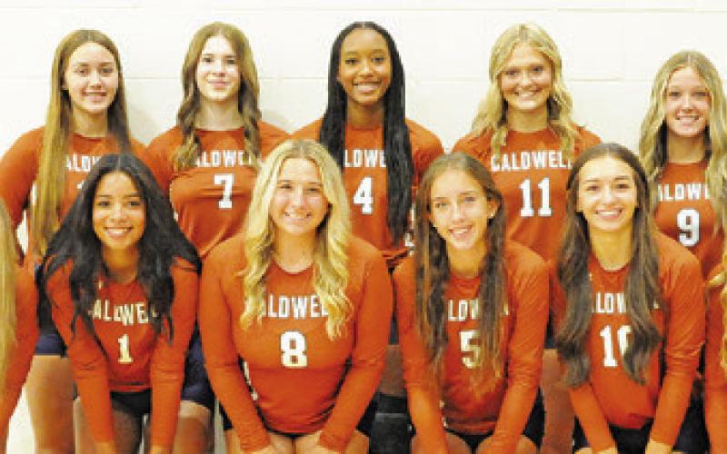 Lady Hornets