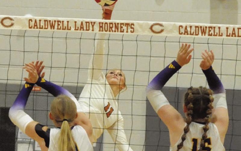 CALDWELL’S REESE MCMANUS hits the ball over two La Grange blockers during the Lady Hornets’ loss to the Lady Leps on Friday. Tribune photo by Denise Squier