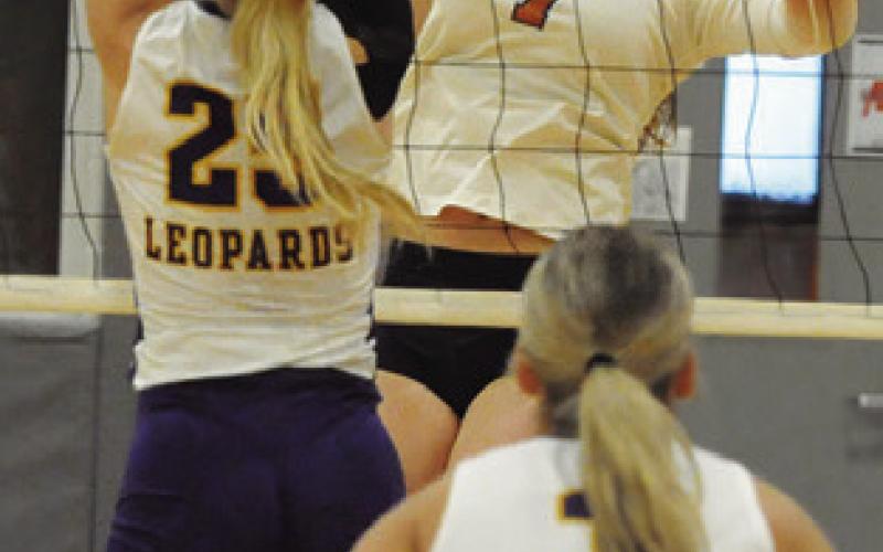 LYDIA GIESE hits the ball over La Grange’s Kylie Trlicek during the Lady Hornets’ loss to La Grange on Friday. Tribune photo by Denise Squier