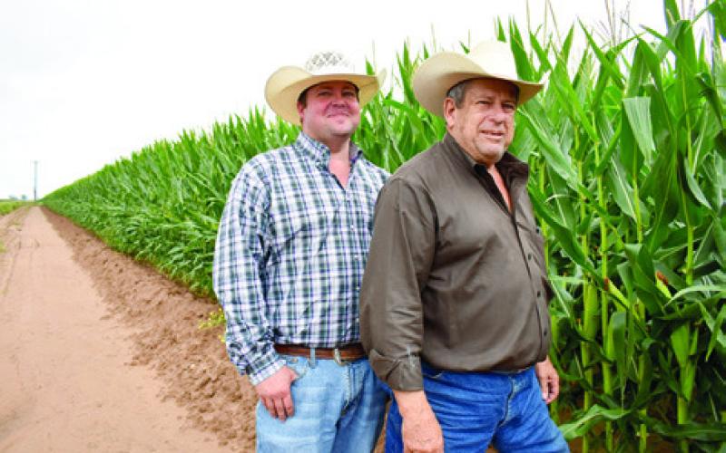 JASON AND JOHN Malazzo look over their corn off this field along F.M. 166. The crop looks good this year thanks to timely rains. Tribune photo by Roy Sanders