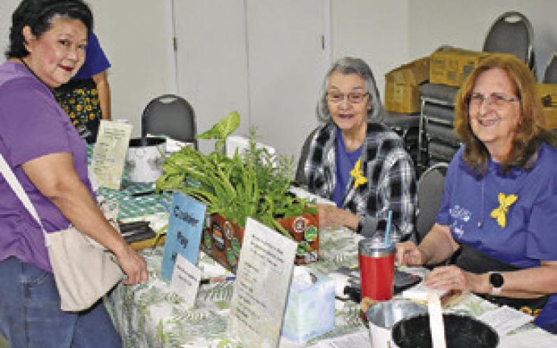 THE LYONS EXTENSION CLUB holds their annual Spring Fling &amp;amp; Craft Sale on Saturday at Harmony Baptist Church. Club members working the table include Linda Pollard and Debby Schumacher. Visiting their table was Elizabeth Warren.