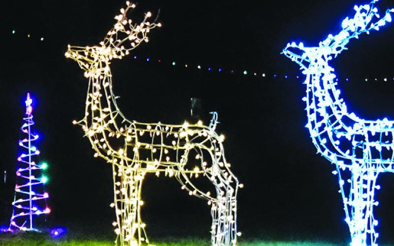 THESE CHRISTMAS LIGHTS on the Burleson County Courthouse lawn are enjoyed by pedestrians and passing motorists.