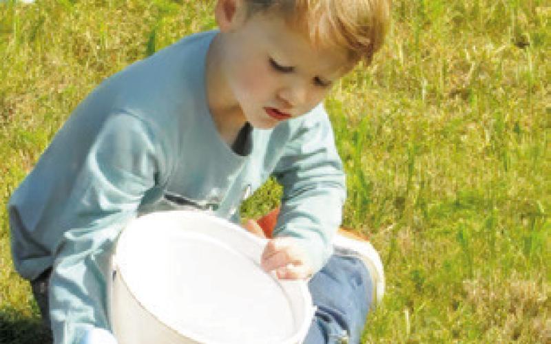 THIS CHILD PAUSED to examine his haul of goodies from First Baptist Church of Caldwell’s Easter Egg Hunt on Saturday.