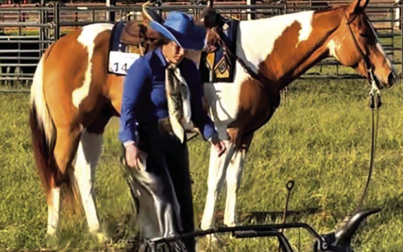 SABINE LAZO AND HER PAINT HORSE, Heza Hugable Jet, in the ground tie portion of their winning Open Ranch Trail run. Tribune photo by Sabine Lazo