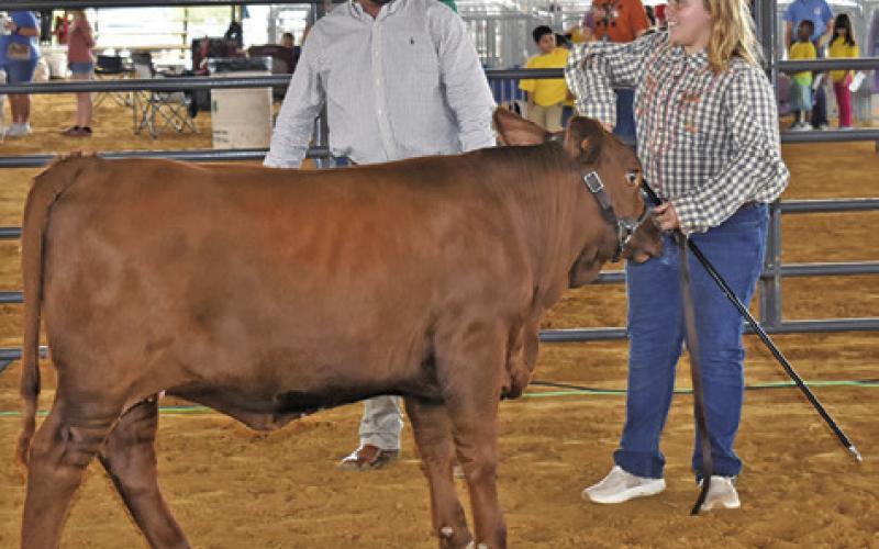 MARLEY KOCUREK AND Judge Harrison Smith are pictured at the breeding heifer show at the Burleson County Fair.