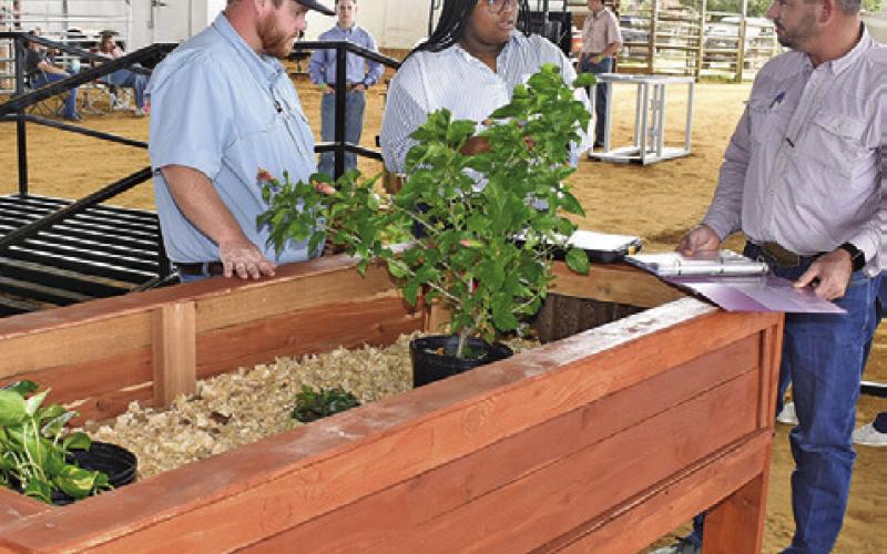 DEIANCA NIX EXPLAINS her project in the Ag Mech division to judges Marshall Miles and Kenneth Goines.
