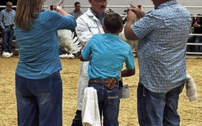 JENTRY THIGPEN, SNOOK FFA, placed 90th at HLSR with his pullets. Photo courtesy of Nicole Godwin