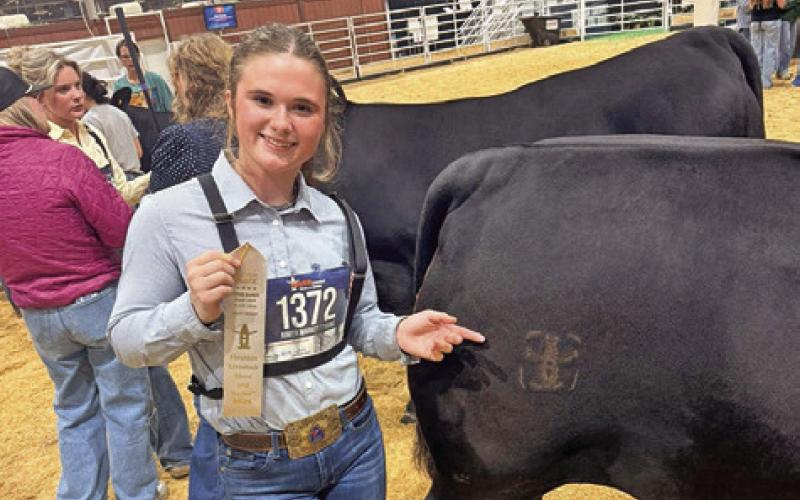BLAKE LOZANO, BURLESON COUNTY 4-H, placed ninth in the Black Cross Steer class at HLSR, making an auction spot. Photo courtesy of Megan Rogers