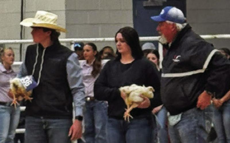 BRAYDEN MACIK OF SNOOK competed at HLSR with his pen of pullets. Photo courtesy of Nicole Godwin