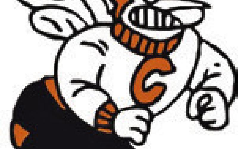Lady Hornet JV fall in district opener