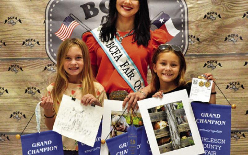 ALEXA AND MADDIE JOHNSON WON grand in Junior and Senior Photography. Also pictured is Fair Queen Kodi Hitchcock. Tribune photo by Sabine Lazo