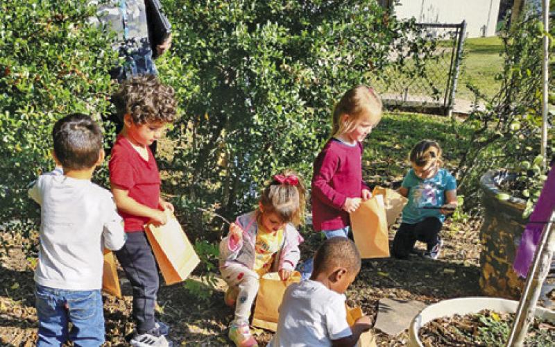 WEE 3 STUDENTS FROM FIRST Baptist School recently enjoyed a fall nature walk.