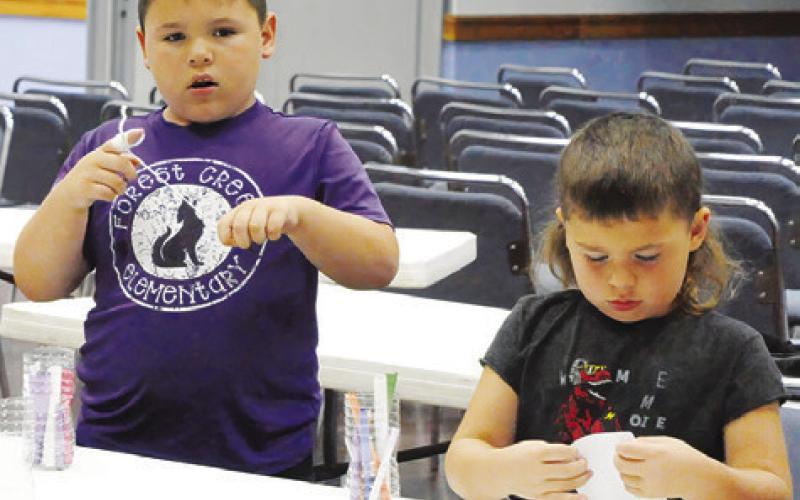 CHILDREN BUILT BEE HOTELS out of water bottles and paper during last Thursday’s “The Un-bee-lievable life of bees” event hosted by the Harrie P. Woodson Memorial Library. Tribune photo by Denise Squier