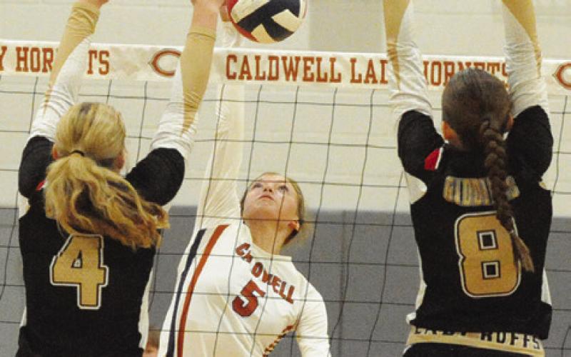 CALDWELL’S KYSEN TONEY hits the ball through Giddings’ players, Karleigh Blansit and Taryn Kleinert, during Friday’s Lady Hornets’ match with the Lady Buffs. -- Tribune photo by Denise Squier
