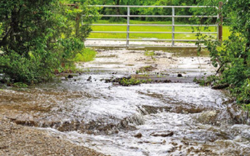 While parts of the state struggle with a lack of rain, others have been experiencing more than the ground can handle in many places. -- Michael Miller/Texas A&amp;amp;M AgriLife