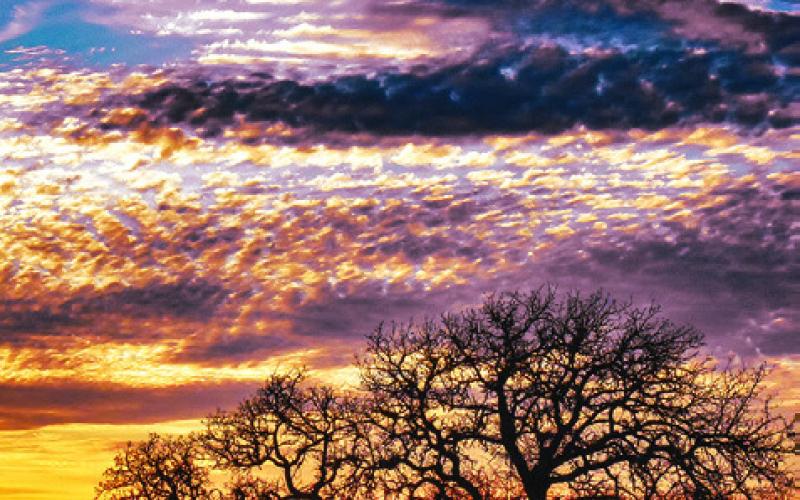 THIS SUNSET WAS visible in the western sky on Sunday, Jan. 4, off County Road 333 in north Burleson County. Tribune photo by Roy Sanders