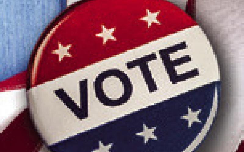 Saturday: city, school elections
