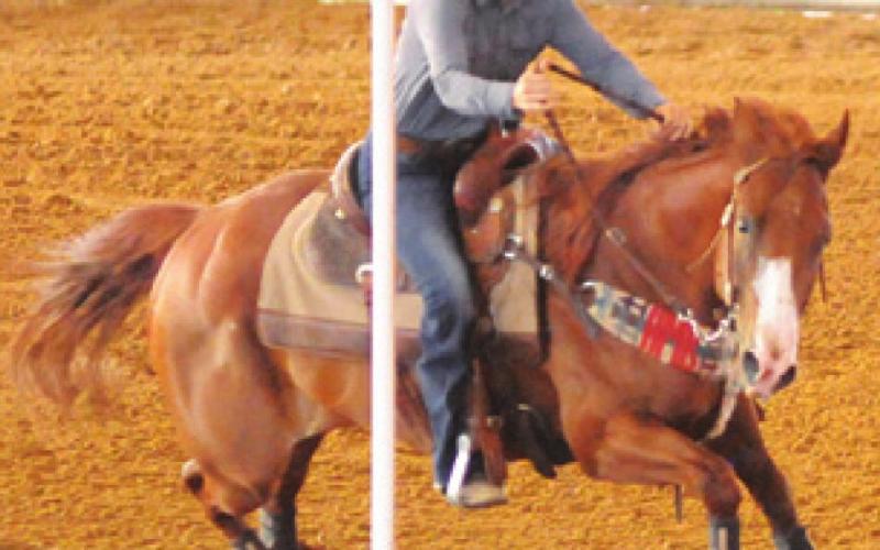 POLES IS ONE OF THE popular events at last weekend’s Burleson County Saddle Club’s annual youth rodeo at the fairgrounds.